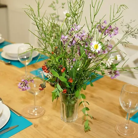 Dom Franciszkanska 25 *